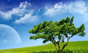 Natural Gas